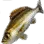 Grunt