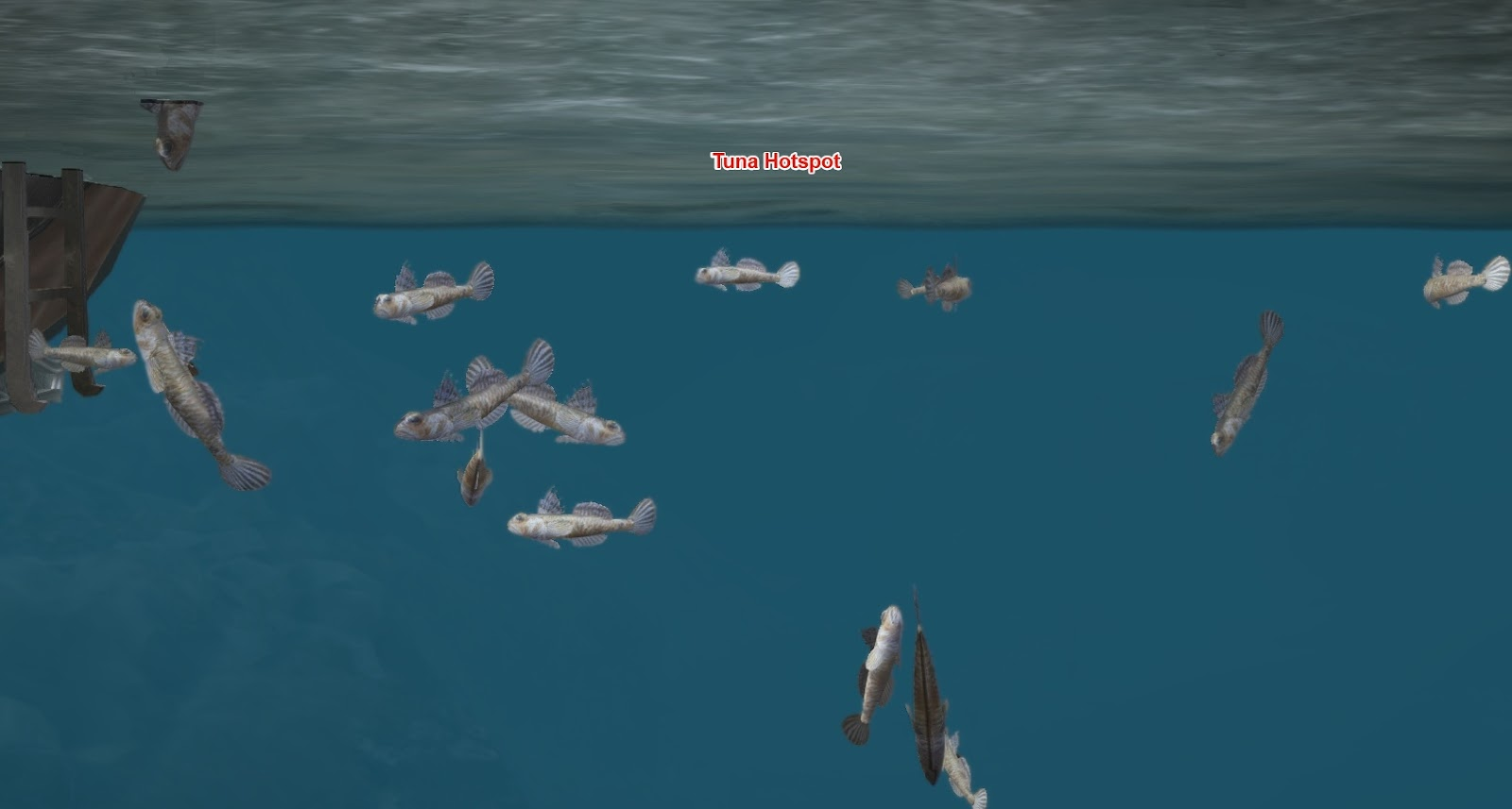 Tuna